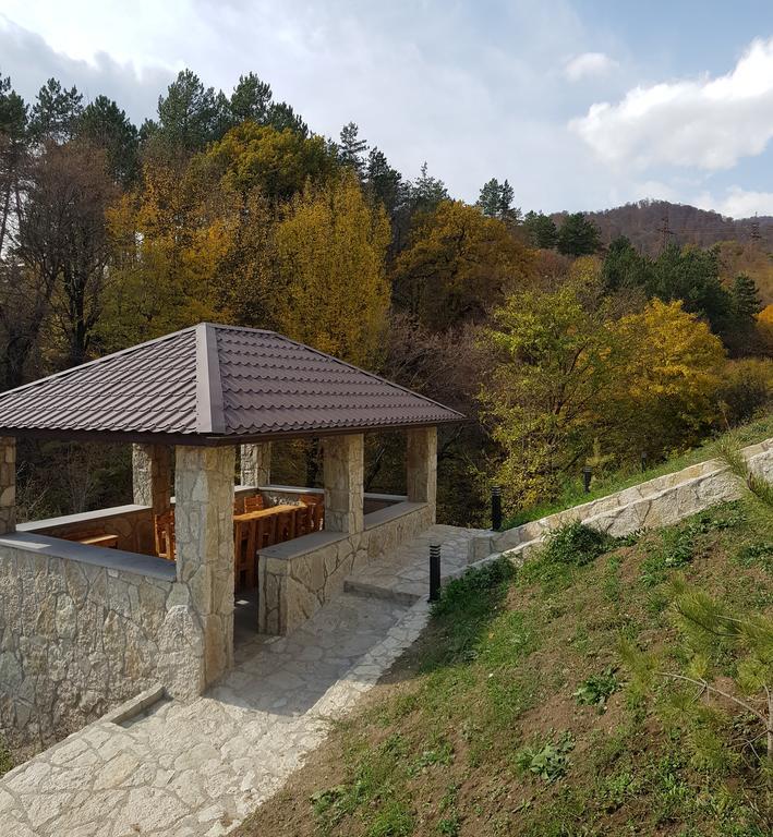 Aurora Dilijan